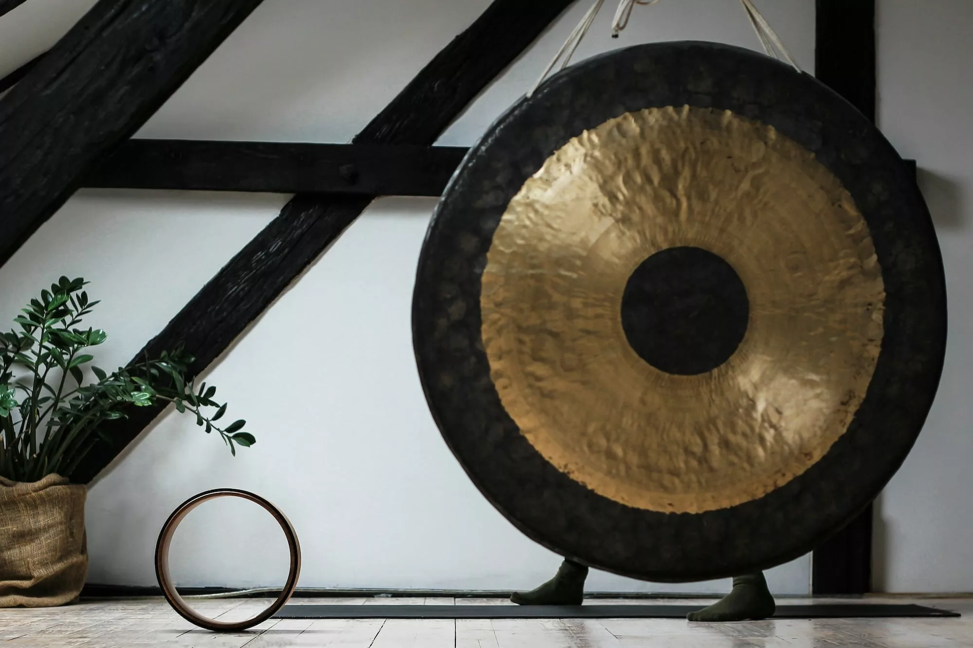 A plant and a gong.